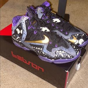 These are Lebron11 "BHM" edition